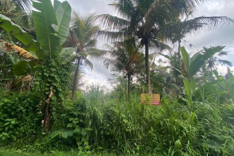 Land in Gianyar, Indonesia No. 11574