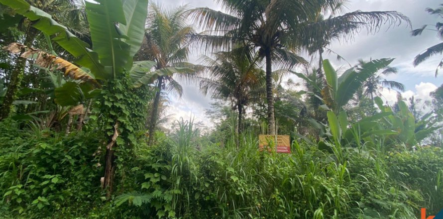 Land in Gianyar, Indonesia No. 11574