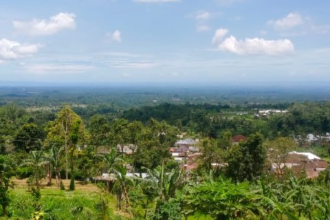 Land in Tabanan, Indonesia No. 11575