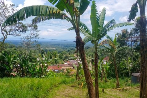 Land in Tabanan, Indonesia No. 11575 6