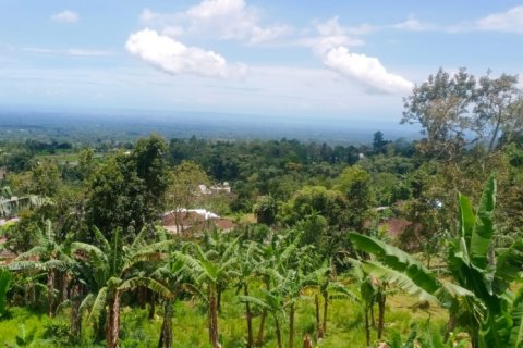 Land in Tabanan, Indonesia No. 11575 2