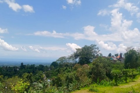 Land in Tabanan, Indonesia No. 11575 3