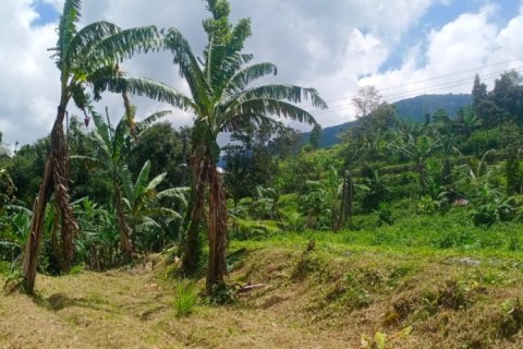 Land in Tabanan, Indonesia No. 11575 4