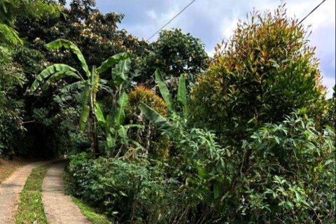 Land in Buleleng, Indonesia No. 11572
