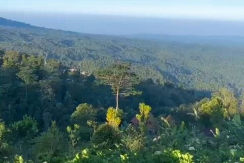 Land in Buleleng, Indonesia No. 11572 3