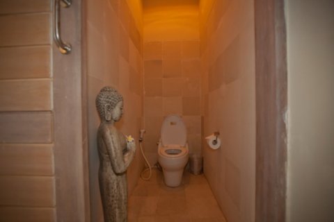 Вилла с 2 спальнями в Canggu, Бадунг, Индонезия № 1539 11
