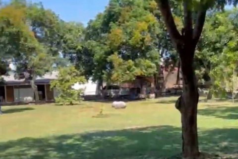 4870m2 Land in South Denpasar, Denpasar, Indonesia No. 7610