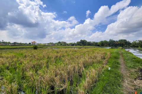 Land in Kediri, Indonesia No. 13507 5