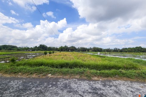 Land in Kediri, Indonesia No. 13507