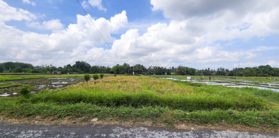 Land in Kediri, Indonesia No. 13507