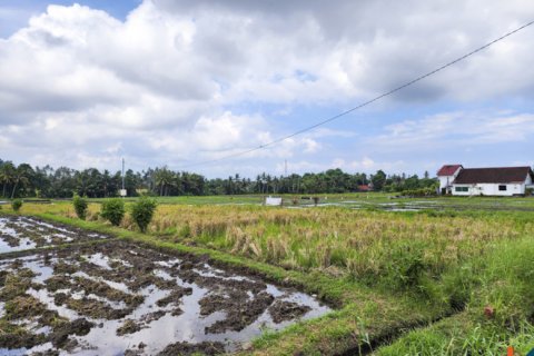 Land in Kediri, Indonesia No. 13507 4