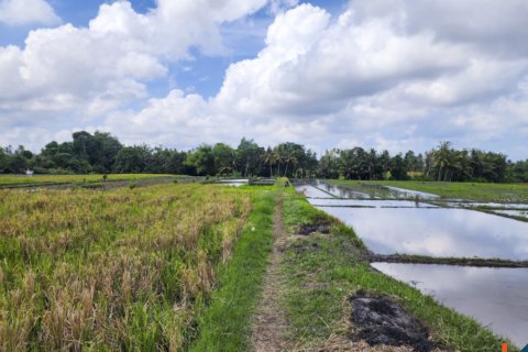 Land in Kediri, Indonesia No. 13507 8