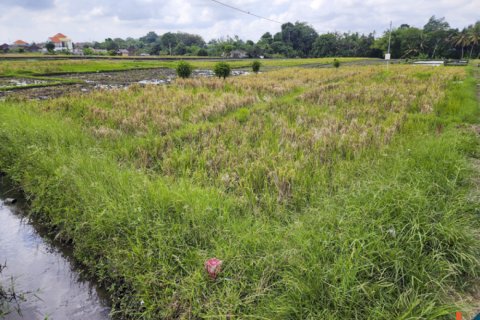 Land in Kediri, Indonesia No. 13507 3