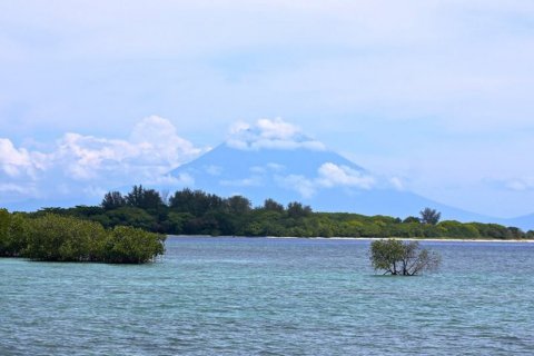 Land in Central Lombok, Indonesia No. 13506 4