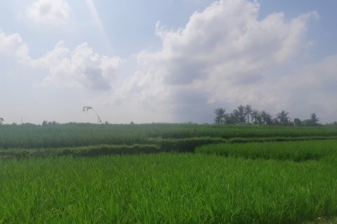 Land in Tabanan, Indonesia No. 11688
