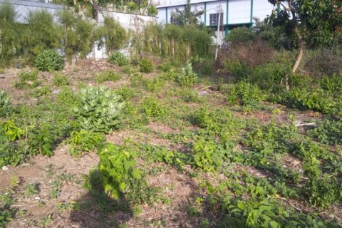 Land in Jimbaran, Badung, Indonesia No. 11683