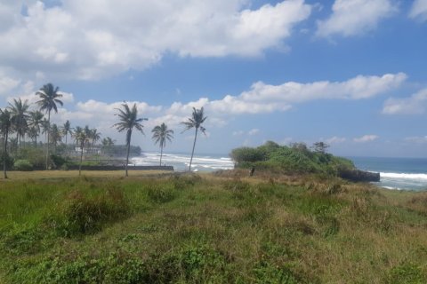 Land in Tabanan, Indonesia No. 11684 6