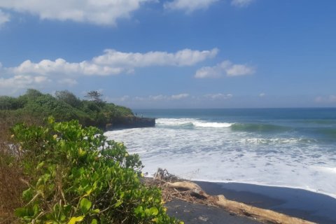 Land in Tabanan, Indonesia No. 11684
