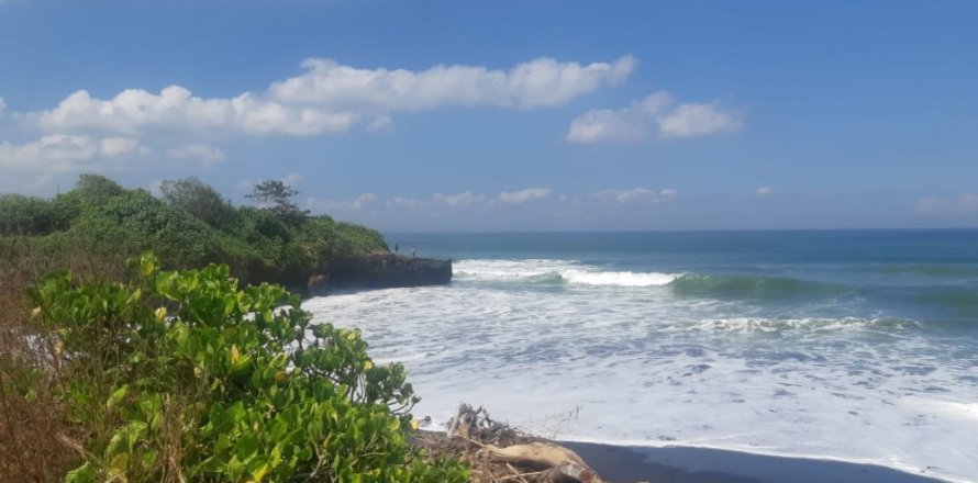 Land in Tabanan, Indonesia No. 11684