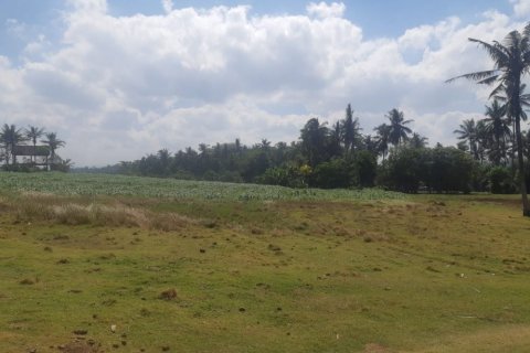 Land in Tabanan, Indonesia No. 11684 4