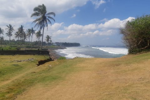 Land in Tabanan, Indonesia No. 11684 3