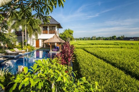 3 bedrooms Villa in Canggu, Badung, Indonesia No. 1566 11