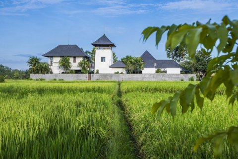3 bedrooms Villa in Canggu, Badung, Indonesia No. 1566 16