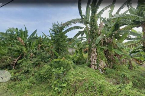 Земельный участок 644м2 в Gianyar, Гианьяр, Индонезия № 7043 2