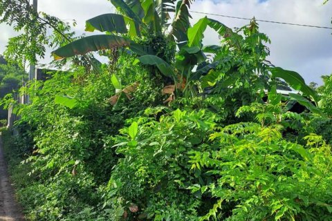 Земельный участок 644м2 в Gianyar, Гианьяр, Индонезия № 7043 10