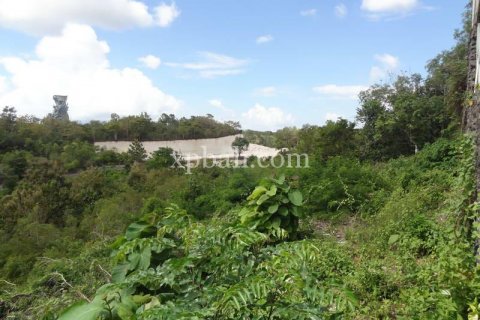 2000m2 Land in South Kuta, Badung, Indonesia No. 7891