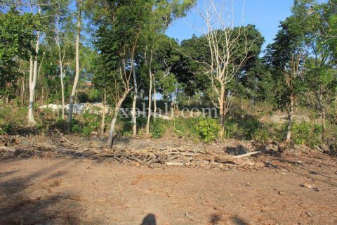 3000m2 Land in South Kuta, Badung, Indonesia No. 7892 2