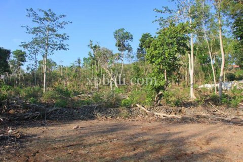 3000m2 Land in South Kuta, Badung, Indonesia No. 7892
