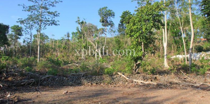 3000m2 Land in South Kuta, Badung, Indonesia No. 7892