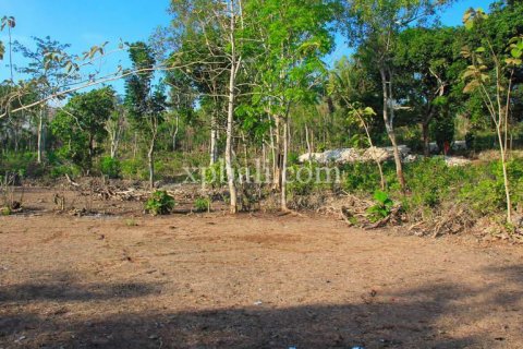 3000m2 Land in South Kuta, Badung, Indonesia No. 7892 3