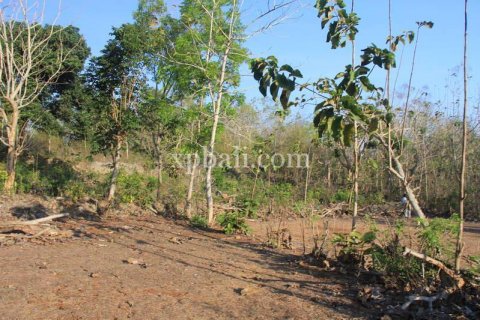 3000m2 Land in South Kuta, Badung, Indonesia No. 7892 5