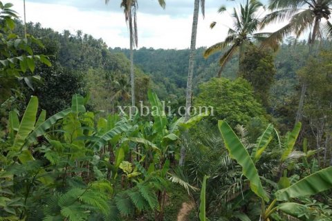 22000m2 Land in Ubud, Gianyar, Indonesia No. 397
