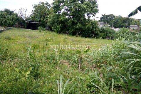 1730m2 Land in Jimbaran, Badung, Indonesia No. 393 3