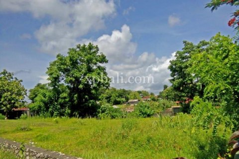 1730m2 Land in Jimbaran, Badung, Indonesia No. 393