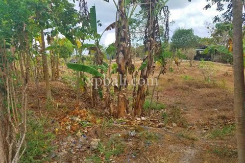 1730m2 Land in Jimbaran, Badung, Indonesia No. 393 4