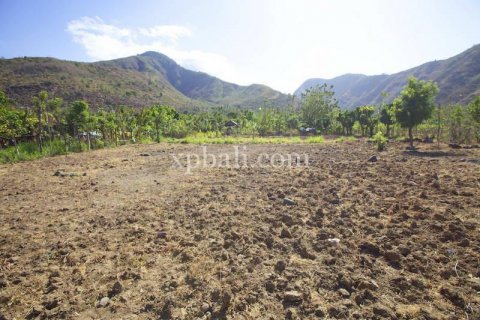 2770m2 Land in Karangasem, Karang Asem, Indonesia No. 396 3