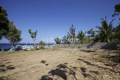 2770m2 Land in Karangasem, Karang Asem, Indonesia No. 396 4