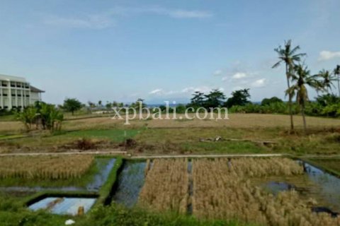2221m2 Land in Gianyar, Indonesia No. 395 4