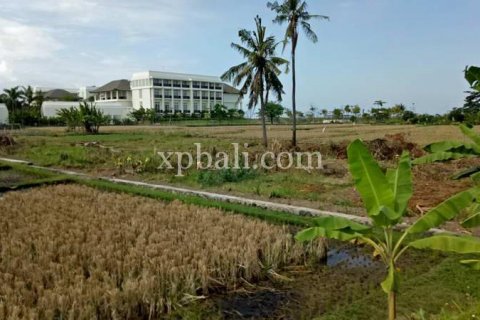 2221m2 Land in Gianyar, Indonesia No. 395 2