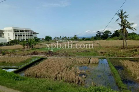 2221m2 Land in Gianyar, Indonesia No. 395 3