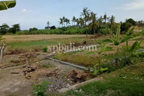 2221m2 Land in Gianyar, Indonesia No. 395 5