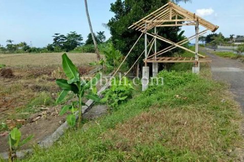 2221m2 Land in Gianyar, Indonesia No. 395 8