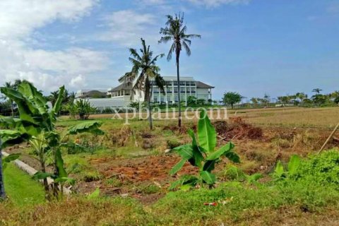 2221m2 Land in Gianyar, Indonesia No. 395 1
