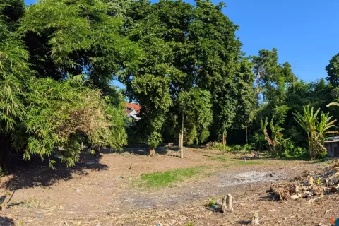 Land in Canggu, Badung, Indonesia No. 10094 4