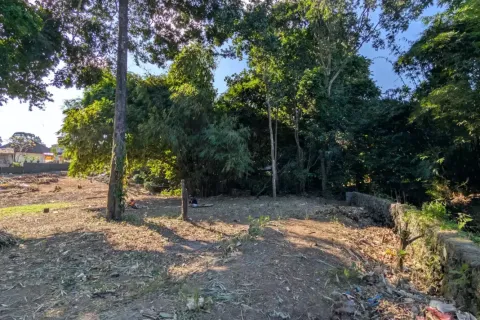 Land in Canggu, Badung, Indonesia No. 10094 8