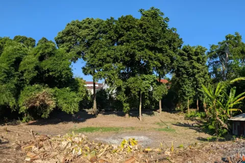 Land in Canggu, Badung, Indonesia No. 10094 7
